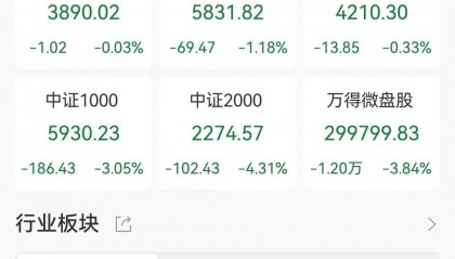 A股收评:三大指数下跌,创业板指跌1.88%北证50跌9.61%!稀土永磁、医药商业走高,超4300股下跌,成交2.23万亿放量131亿
