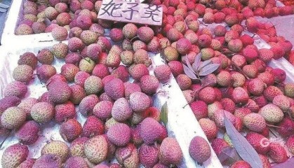 大跳水，暴跌40%！老板：一天一个价，估计还要跌