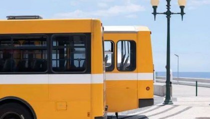公交车,越变越小?