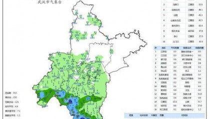 9级阵风+暴雨+雷暴大风！武汉半小时预警三连发