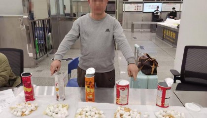 超千枚蛋、案值达700万!深圳破获一起走私濒危鹦鹉蛋大案