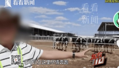 4个人骗了5个亿！该平台有120万用户！上海警方披露详情