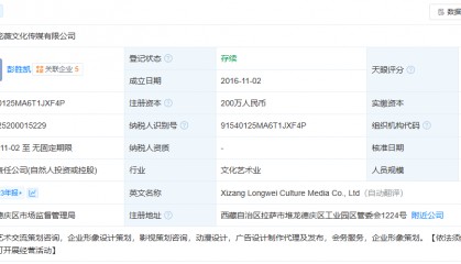 热搜第一!赵薇公司被强制执行14177元