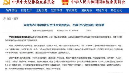 云南省农村信用社联合社原党委委员、纪委书记高波被开除党籍