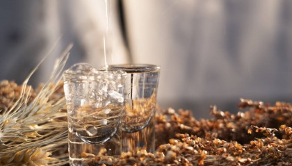 白酒巨头“扎堆”光瓶酒:59元洋河卖爆了,有烟酒店老板半个月补货四次