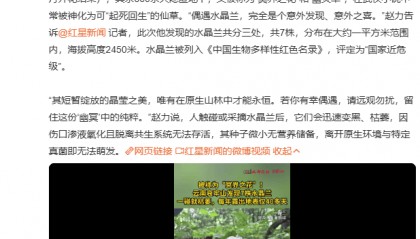 哀牢山发现7株冥界之花,一碰就枯萎,每年露出地表仅40多天