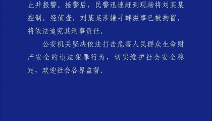 湖南警方通报男子拖拽女童进小巷：刘某某因涉嫌寻衅滋事被拘留并将追究其刑责