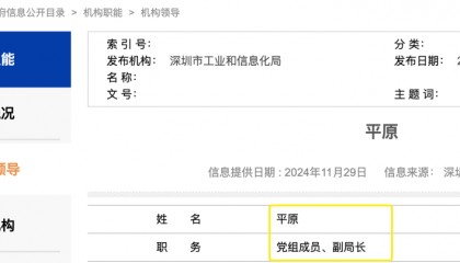 曾因“一撮白发”走红的深圳女副区长,有了新身份