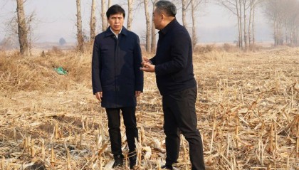 厅长暗访哈尔滨市秸秆禁烧管控和综合利用工作