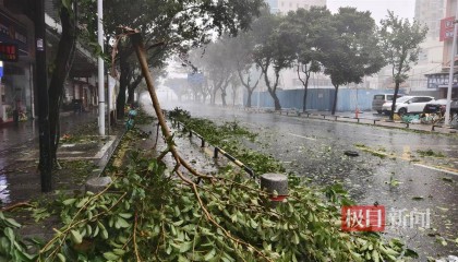 台风桦加沙袭击珠海:记者眼镜被大风吹跑,街边树枝断落,单车成排倒地