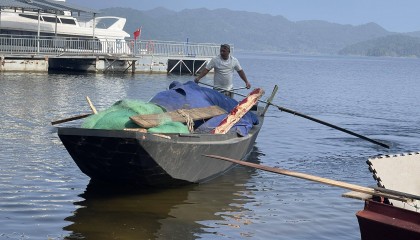 密云“水库鱼”将开捞:水面变宽水深了,捕捞比往年上难度
