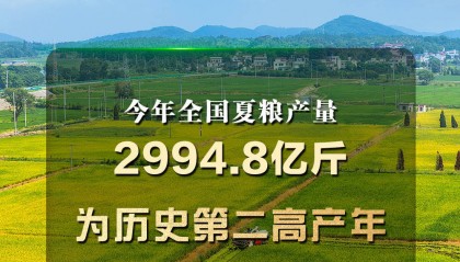 历史第二高产年 今年全国夏粮产量2994.8亿斤