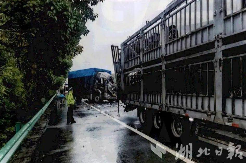 仅1分钟，1人当场死亡！“我真的很后悔！”