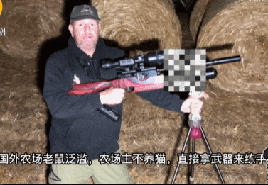 头部中弹!近日安徽18岁男孩深夜遭遇枪击,枪是从哪来的?