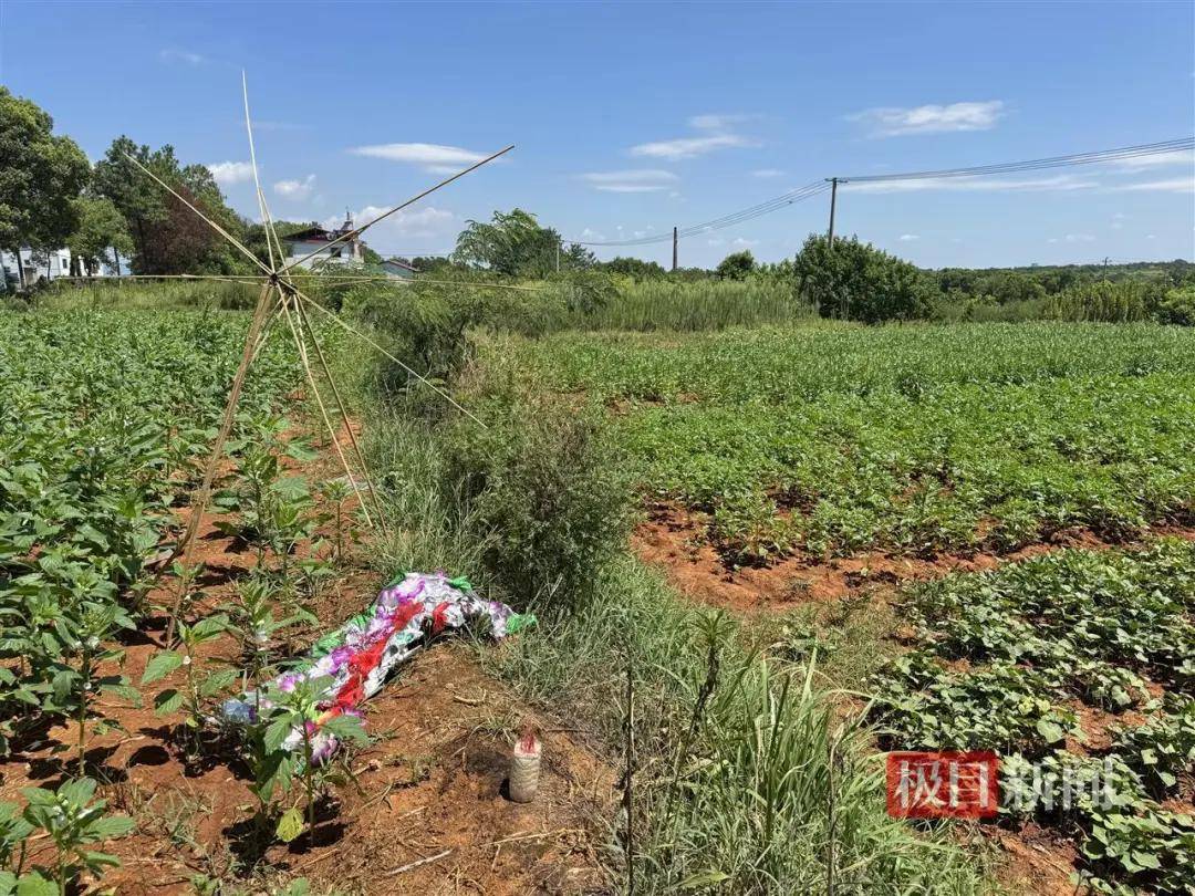 头部中弹!近日安徽18岁男孩深夜遭遇枪击,枪是从哪来的?