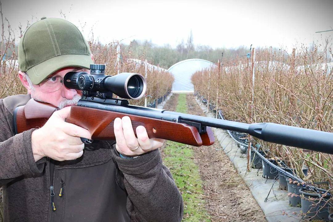 头部中弹!近日安徽18岁男孩深夜遭遇枪击,枪是从哪来的?