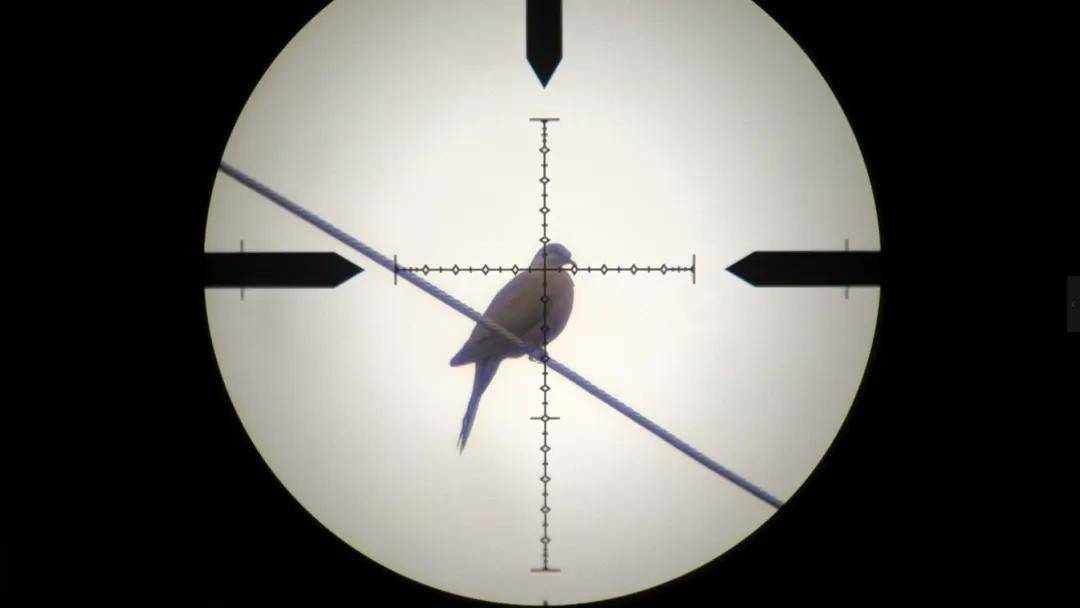 头部中弹!近日安徽18岁男孩深夜遭遇枪击,枪是从哪来的?