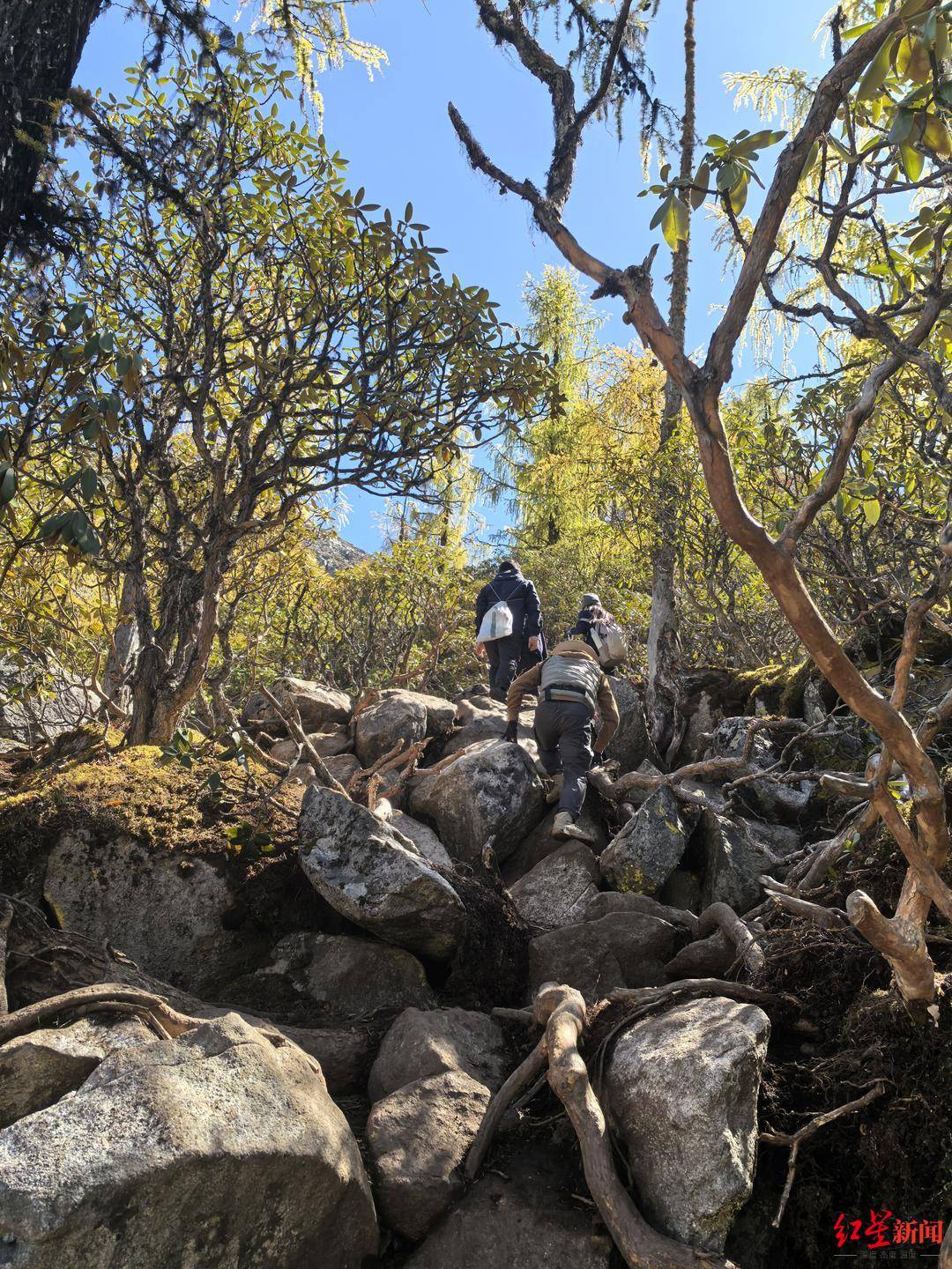 川西登山徒步乱象调查①丨重走党岭高反女孩徒步路线：山高路险！有团队未带食物，报警多是迷路